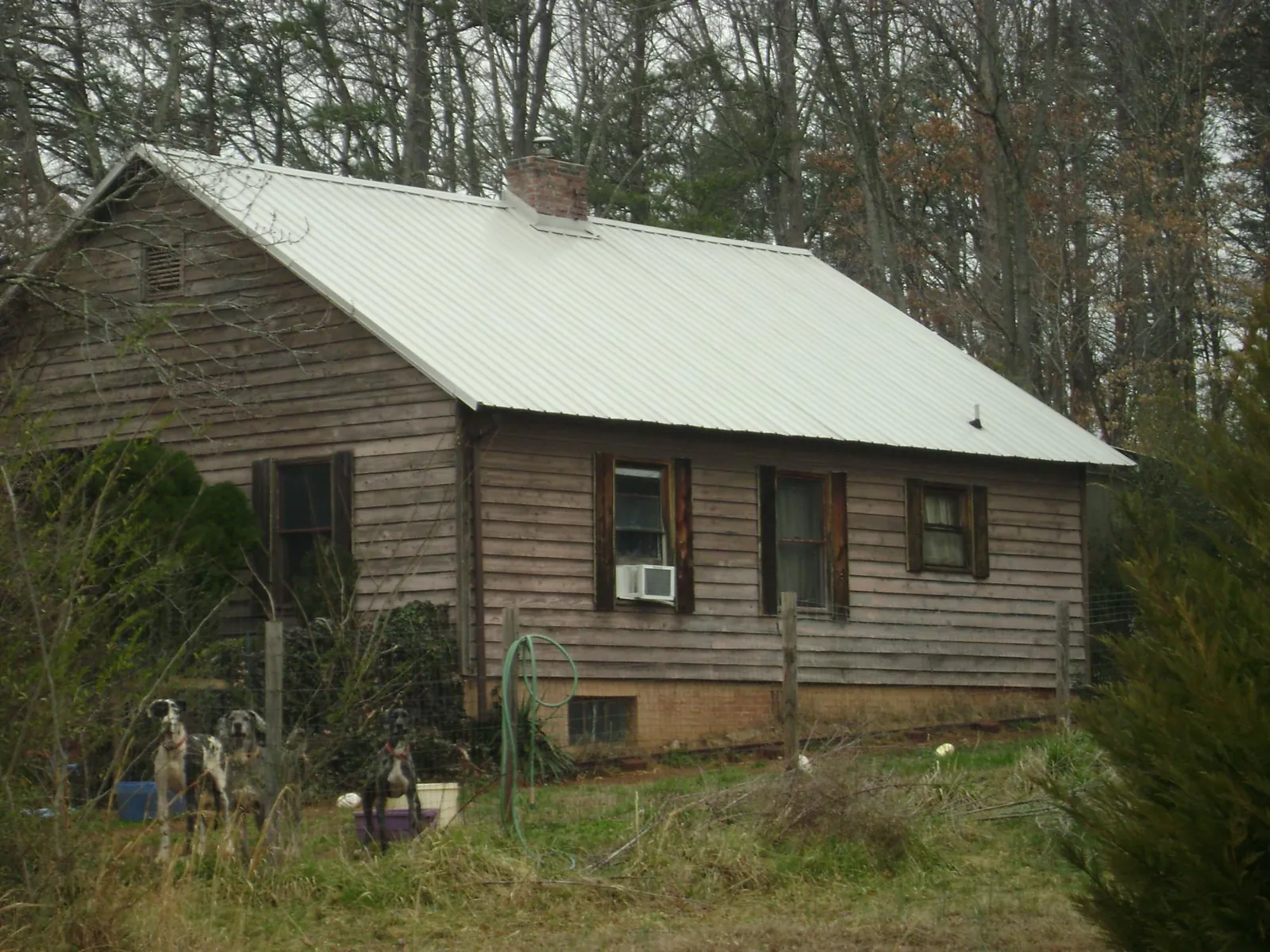 White metal roof on an old wood sided farmhouse, from a Asphalt Shingle Roof Repair job in Callaway